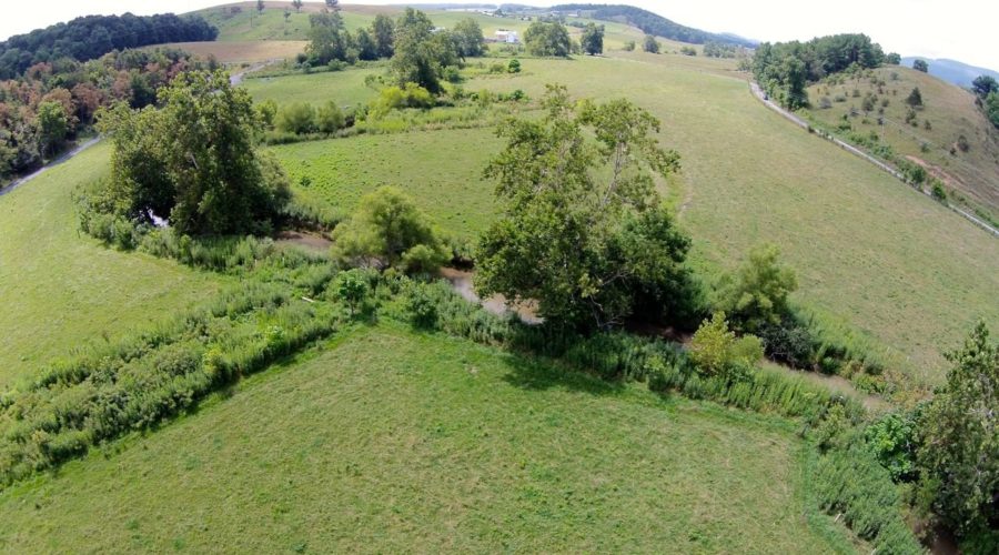 Planting and Growing a Successful Riparian Forest Buffer