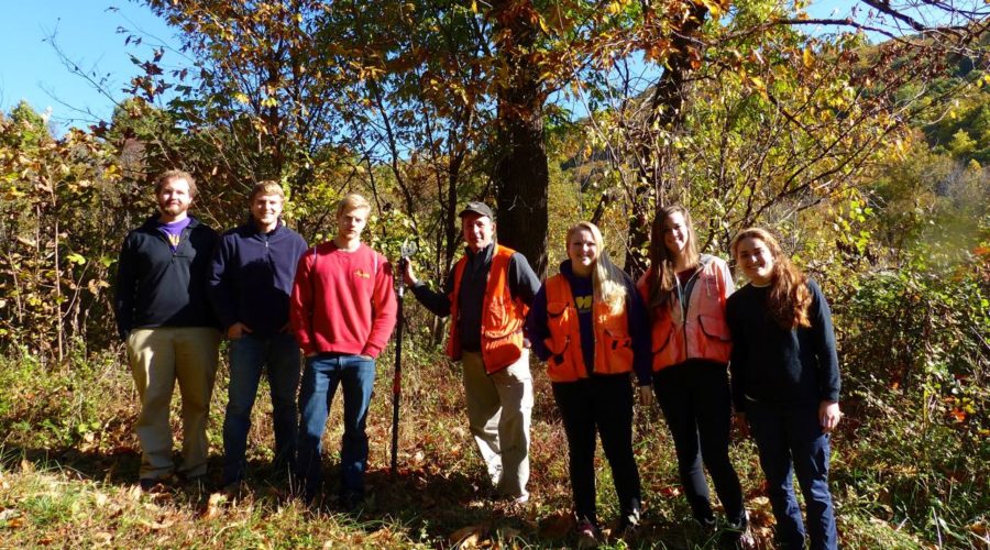 What is a Tree Hugger?