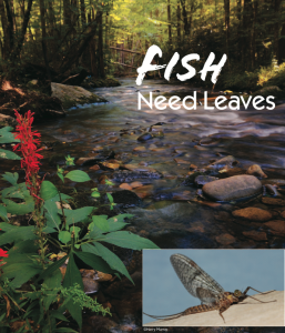 Leaves from Native Trees - The Foundation of Freshwater Ecosystems (JMU 2022)