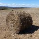 Baled Corn Stalks: Symbol of Agricultural Waste and Poverty
