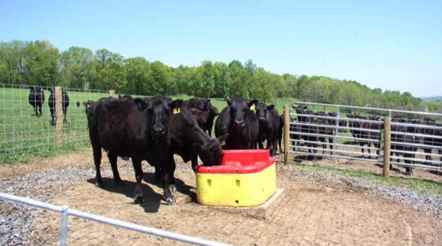 CRP helps with livestock waterers