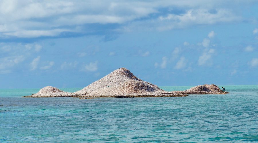 Anegada conch mound