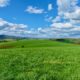 Farmland Conservation is Critical for the Shenandoah Valley