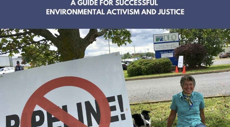 Guide for Successful Environmental Activism and Justice
