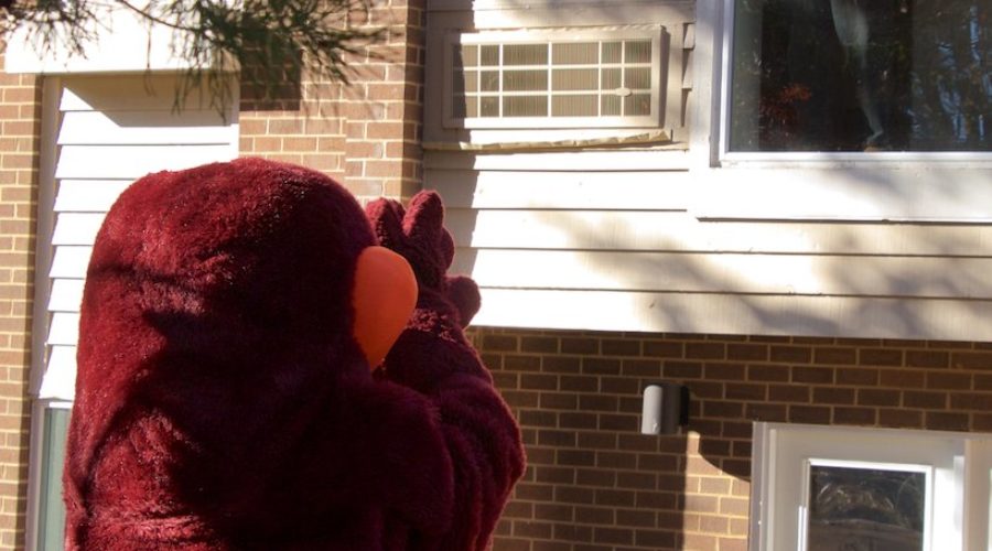 The Hokie Bird gives a cheer to my Dad