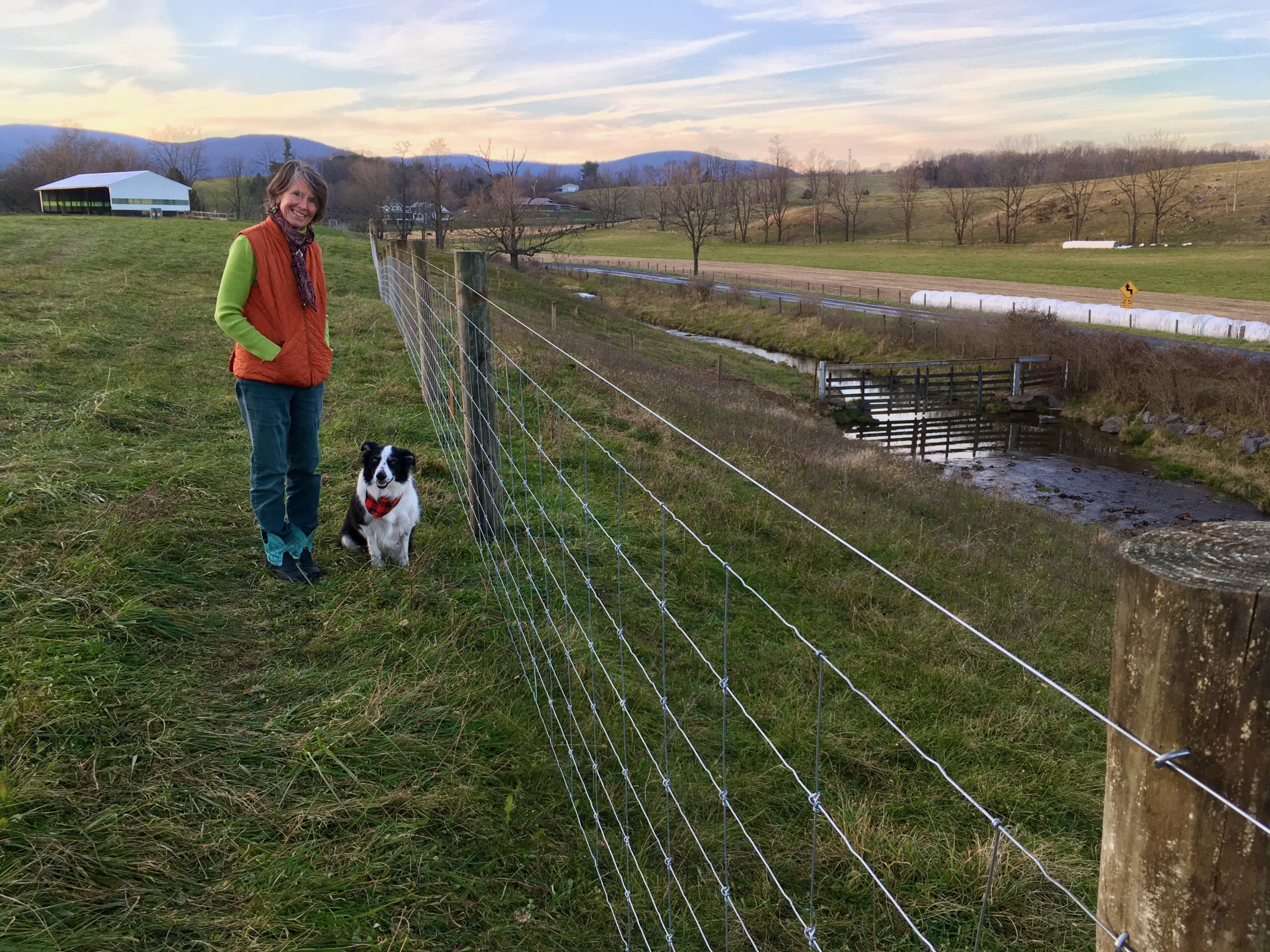 There has never been a better time to fence cattle out of streams