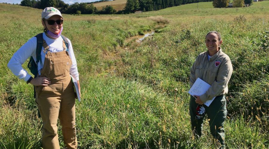 Tree planting plan development for our unnamed tributary