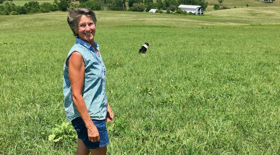 Whiskey Creek Angus pastures