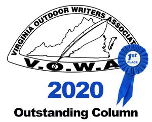 VOWA Award 2020