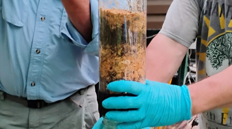 mycofiltration