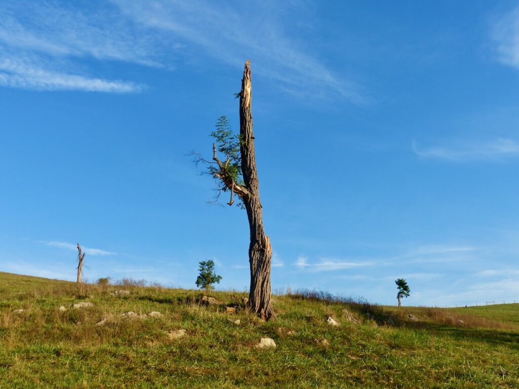 They remain standing.