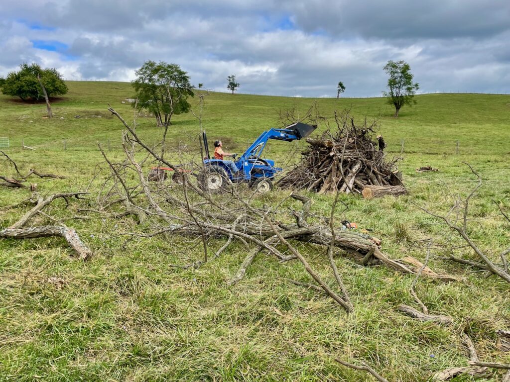 storm damage